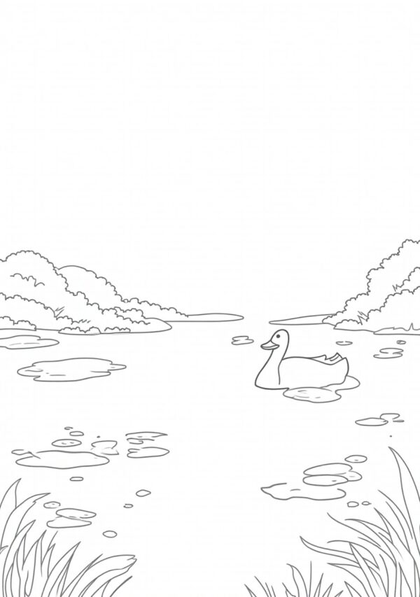 Nature Ducks Coloring Book Digital Download - 26 Pages