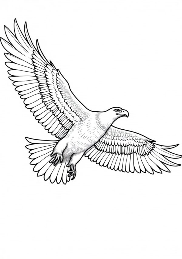 Eagle Coloring Book - Digital Download - 25 Pages - Image 3