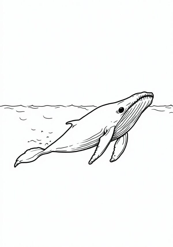 Whale Wonders: Digital Coloring Book for Relaxation - 25 Pages - Image 3