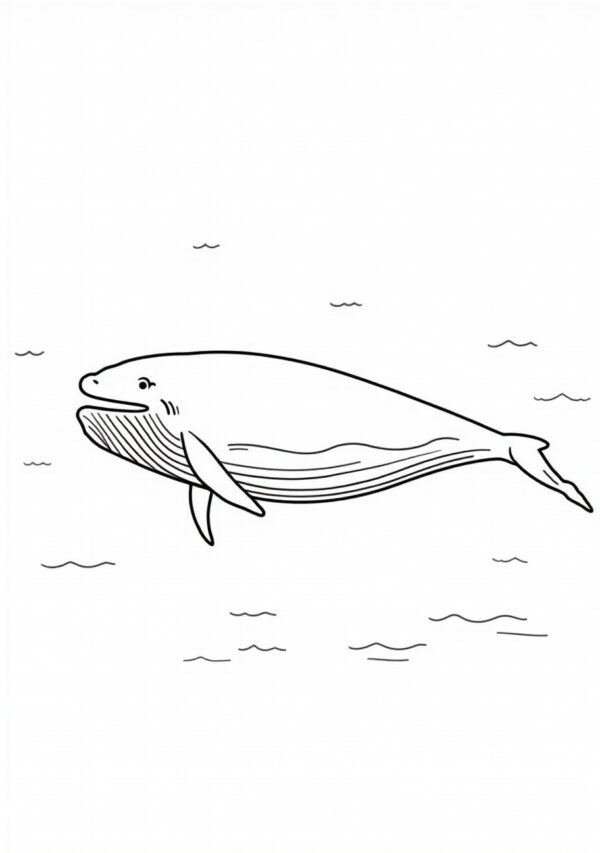 Whale Wonders: Digital Coloring Book for Relaxation - 25 Pages - Image 4