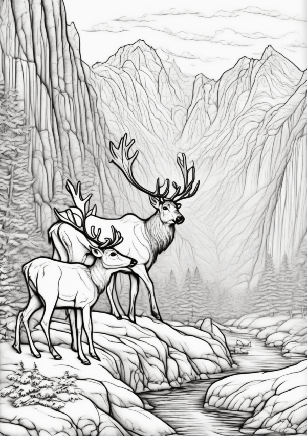 Christmas Nature Scenes Coloring Book - 11 Pages - Image 3